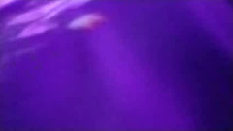 Snapshot of n298033 chatting on 09/23/25, 05:05 n298033 online show from 09/23/25, 05:05