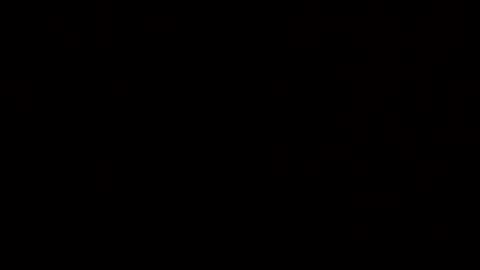 n298033 online show from 11/08/25, 10:04