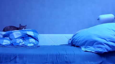 n3philim999 online show from 10/12/25, 10:09