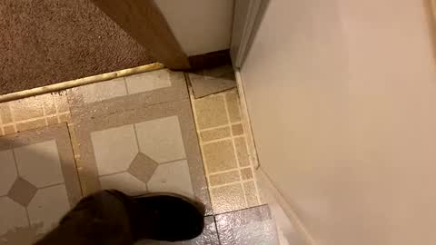 Snapshot of nairda2senoniuq chatting on 12/20/24, 12:08 nairda2senoniuq online show from 12/20/24, 12:08