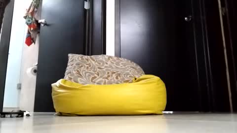 nak3d_lif3 online show from 04/01/26, 12:11