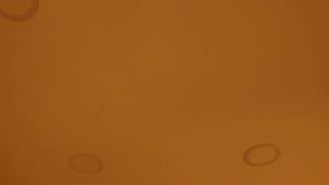 INSTAGRAM  m2221     online show from 04/08/26, 10:04