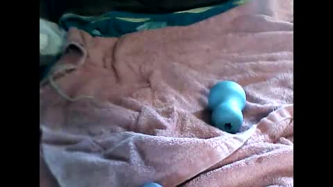 nakedboymdx online show from 03/23/26, 02:21