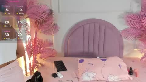 Snapshot of nalapalmer chatting on 05/24/26, 11:37 nalapalmer online show from 05/24/26, 11:37