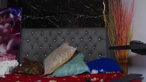 NALAROY online show from 12/28/24, 11:19