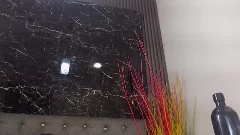 NALAROY online show from 01/10/25, 03:16