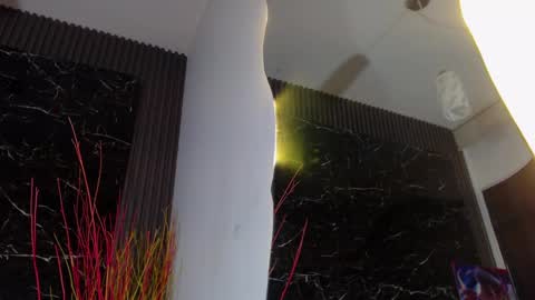 NALAROY online show from 01/11/25, 12:40