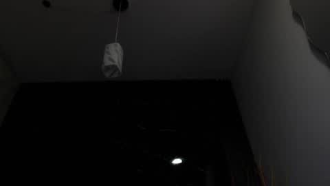 NALAROY online show from 02/15/25, 12:01