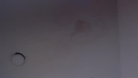 NALAROY online show from 03/12/25, 06:51