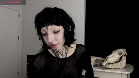 Nana online show from 12/28/24, 04:09