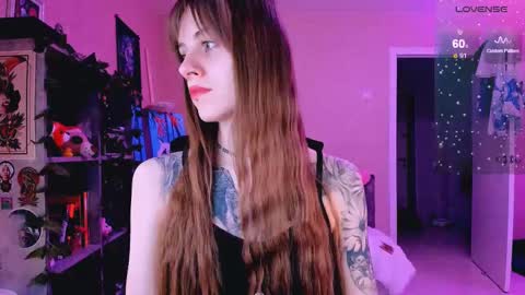 Monday-Friday 12-4 AM and 6-9 AM New York time online show from 02/26/25, 08:44