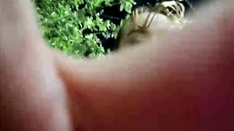 nanna_and_balder2 online show from 04/19/26, 03:28