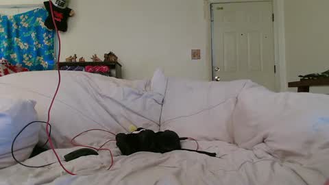 Nanna Baldur online show from 12/17/24, 08:32