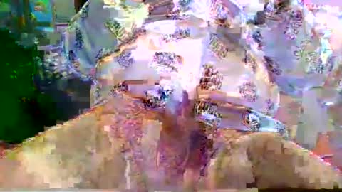 nano527 online show from 02/12/26, 07:25