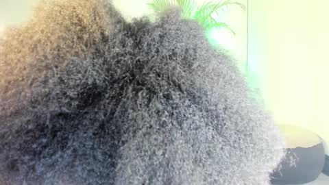 Naomii online show from 11/13/25, 12:31