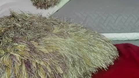 Snapshot of naomy_smithx chatting on 12/13/24, 11:06 Naomy Smith online show from 12/13/24, 11:06