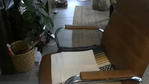 nareth338 online show from 01/06/26, 04:21