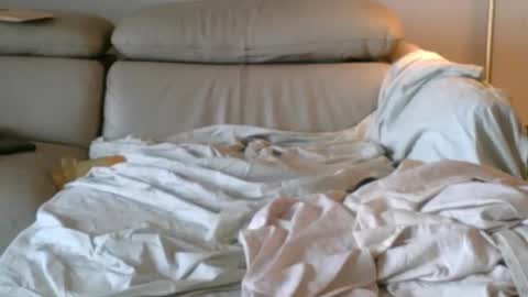 nassobout online show from 12/14/25, 05:18