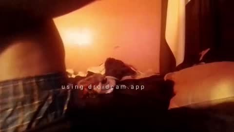 Snapshot of nathanbutler0 chatting on 10/31/25, 05:52 nathanbutler0 online show from 10/31/25, 05:52