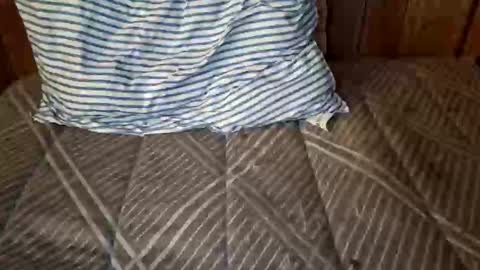 nativejoker_1995 online show from 10/04/25, 09:13