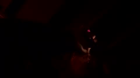 naturebabe666 online show from 04/14/26, 08:53