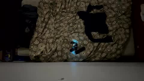 naughty6toy online show from 02/17/26, 05:26