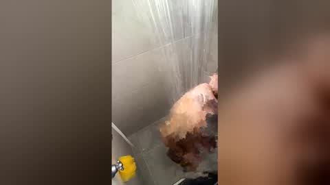 Joyci Lima online show from 03/23/26, 01:48