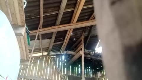 naughty_babex online show from 05/10/26, 05:12