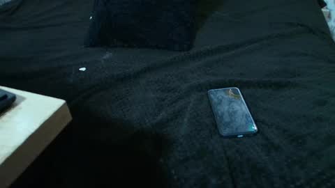 Kitten online show from 03/01/25, 09:07