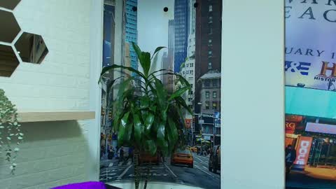 Kitten online show from 03/08/25, 10:32