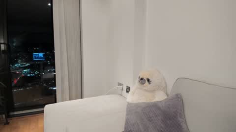 Gigi Chu  online show from 01/16/25, 06:16