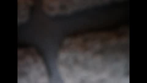 naughtypanties123 online show from 03/11/26, 06:08