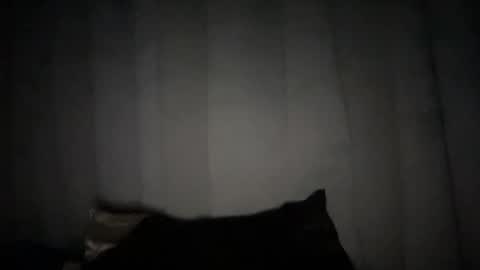 Snapshot of naughtyrosecum chatting on 01/06/25, 10:24 Rose Wilson online show from 01/06/25, 10:24