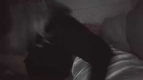 Snapshot of nchastain74 chatting on 01/30/25, 06:03 wetnikki6590 online show from 01/30/25, 06:03