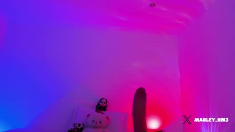 xd online show from 12/14/25, 10:25