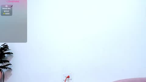 Nery online show from 02/17/25, 06:37