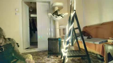 nessieanalemma online show from 02/05/26, 12:43