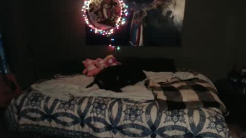 Snapshot of nettiedmonroe chatting on 11/08/25, 05:34 Nettie D Monroe online show from 11/08/25, 05:34