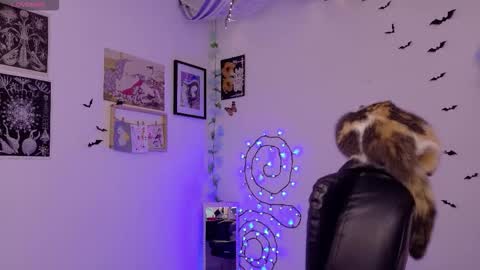 Mar online show from 02/03/26, 05:38