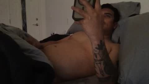 Snapshot of never___satisfied chatting on 11/01/25, 06:26 never___satisfied online show from 11/01/25, 06:26