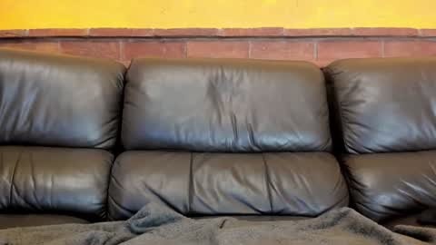 Matilda online show from 12/31/24, 05:18