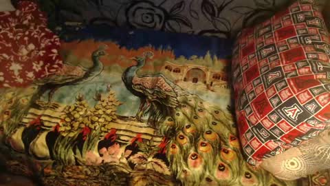 Lilly  online show from 04/10/26, 02:50