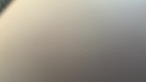 newjerseyhorny online show from 03/09/26, 03:38