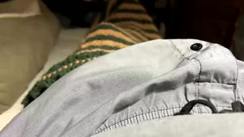 ngianop online show from 11/24/25, 08:25