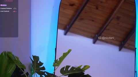 Dani 3 online show from 01/18/25, 09:13