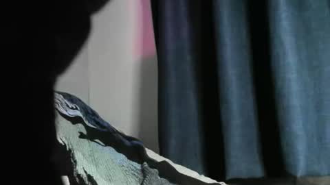 Snapshot of nicebbc7 chatting on 12/22/24, 05:56 Black Tarzan online show from 12/22/24, 05:56