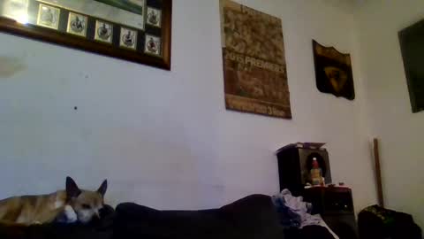 Snapshot of niceozziecockxxx chatting on 02/13/25, 10:00 Sexiishaine online show from 02/13/25, 10:00