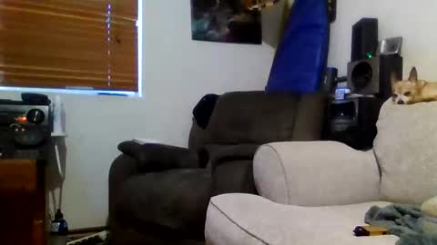 Snapshot of niceozziecockxxx chatting on 02/20/26, 07:21 Sexiishaine online show from 02/20/26, 07:21