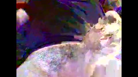 Nickyfruit online show from 10/30/25, 09:22