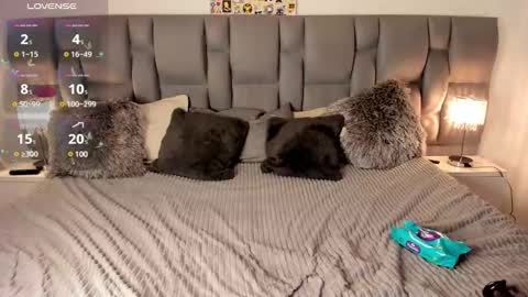 Snapshot of nickytouse chatting on 02/19/25, 03:06 Nicky online show from 02/19/25, 03:06